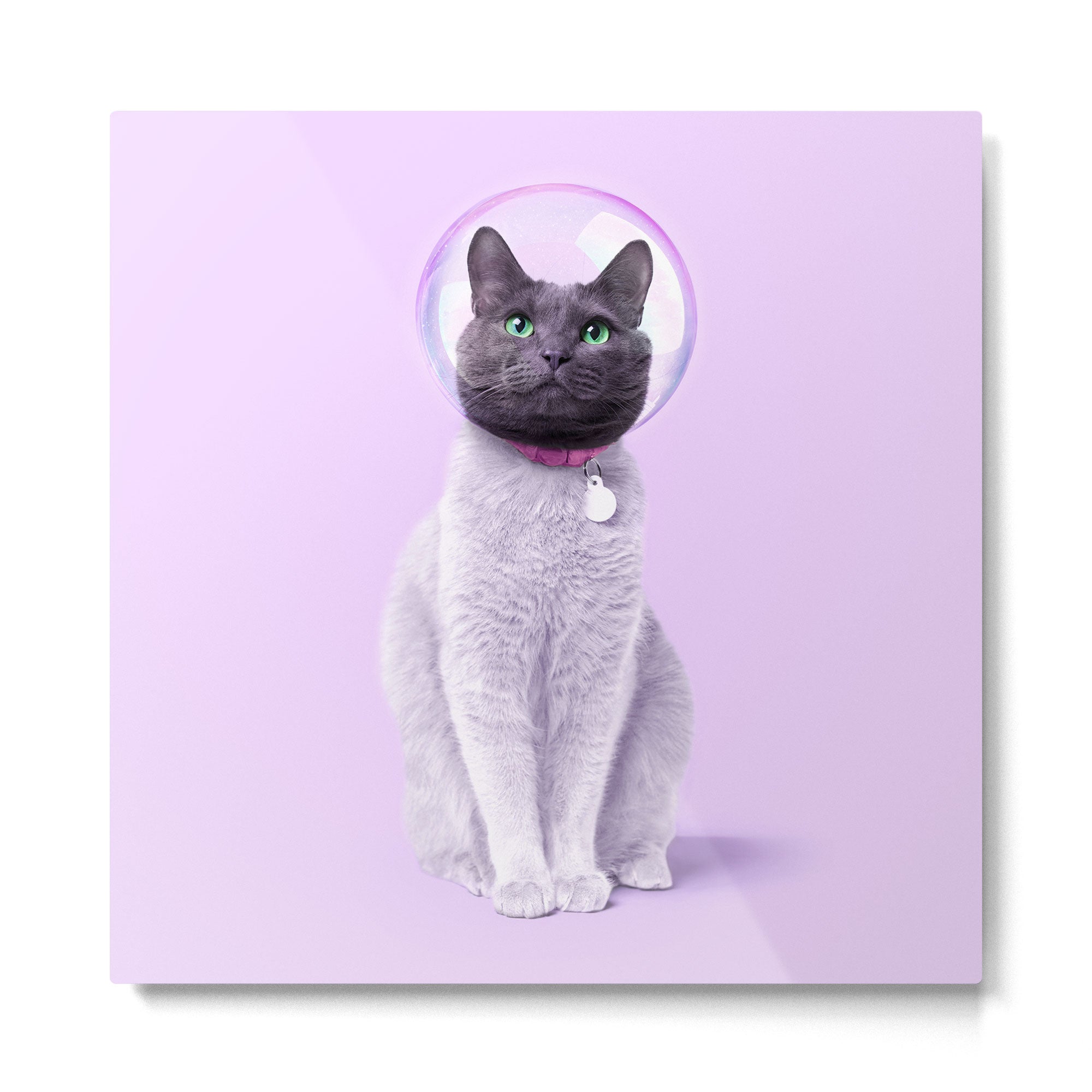 SPACE CAT Metal Print | TeksDecor