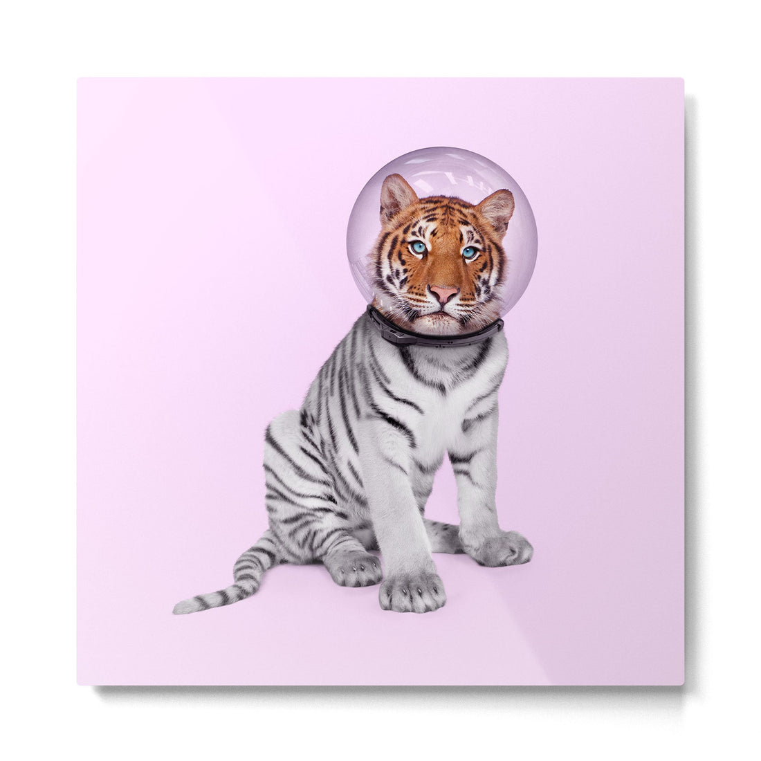 SPACE TIGER Metal Print | TeksDecor