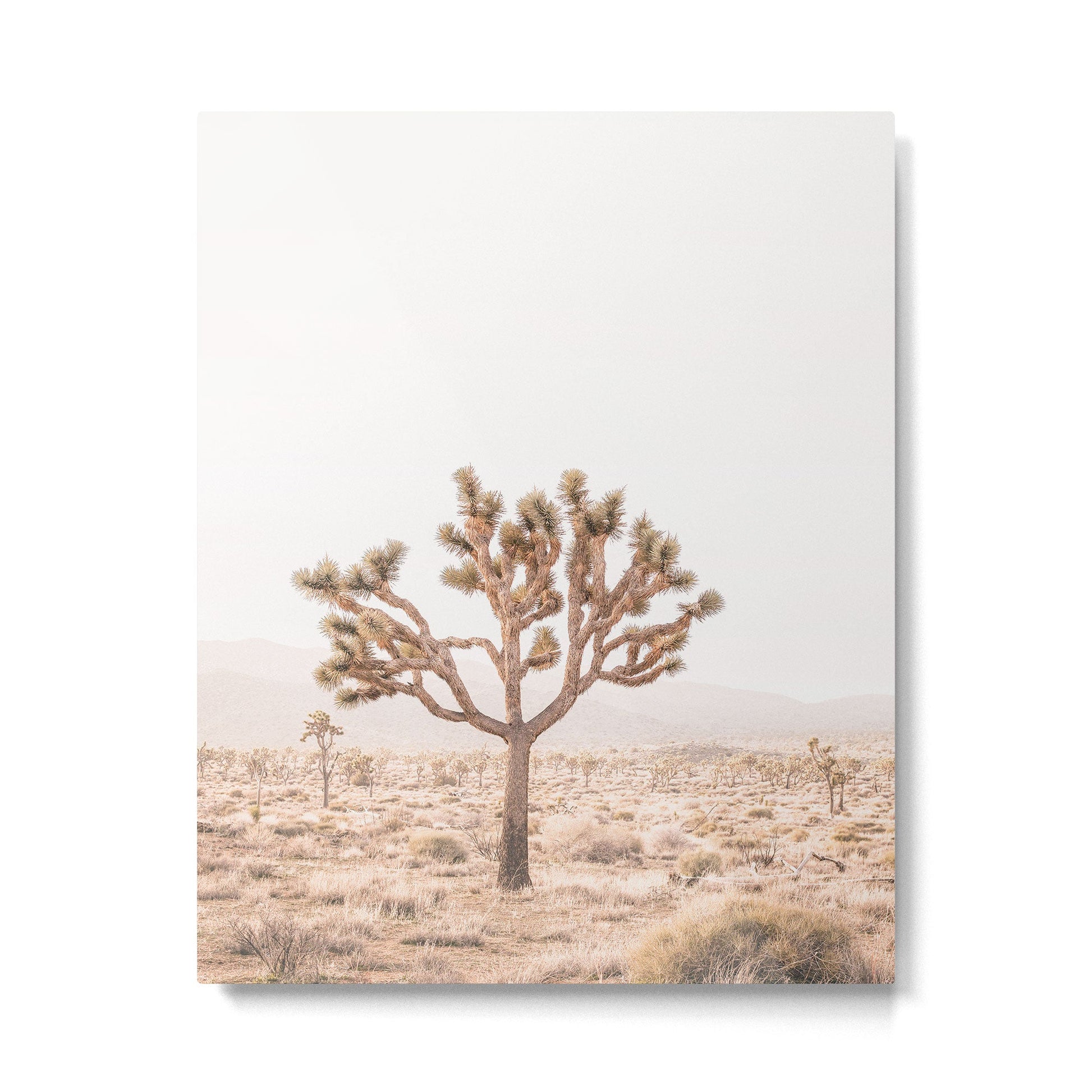 Yucca Metal Print | TeksDecor