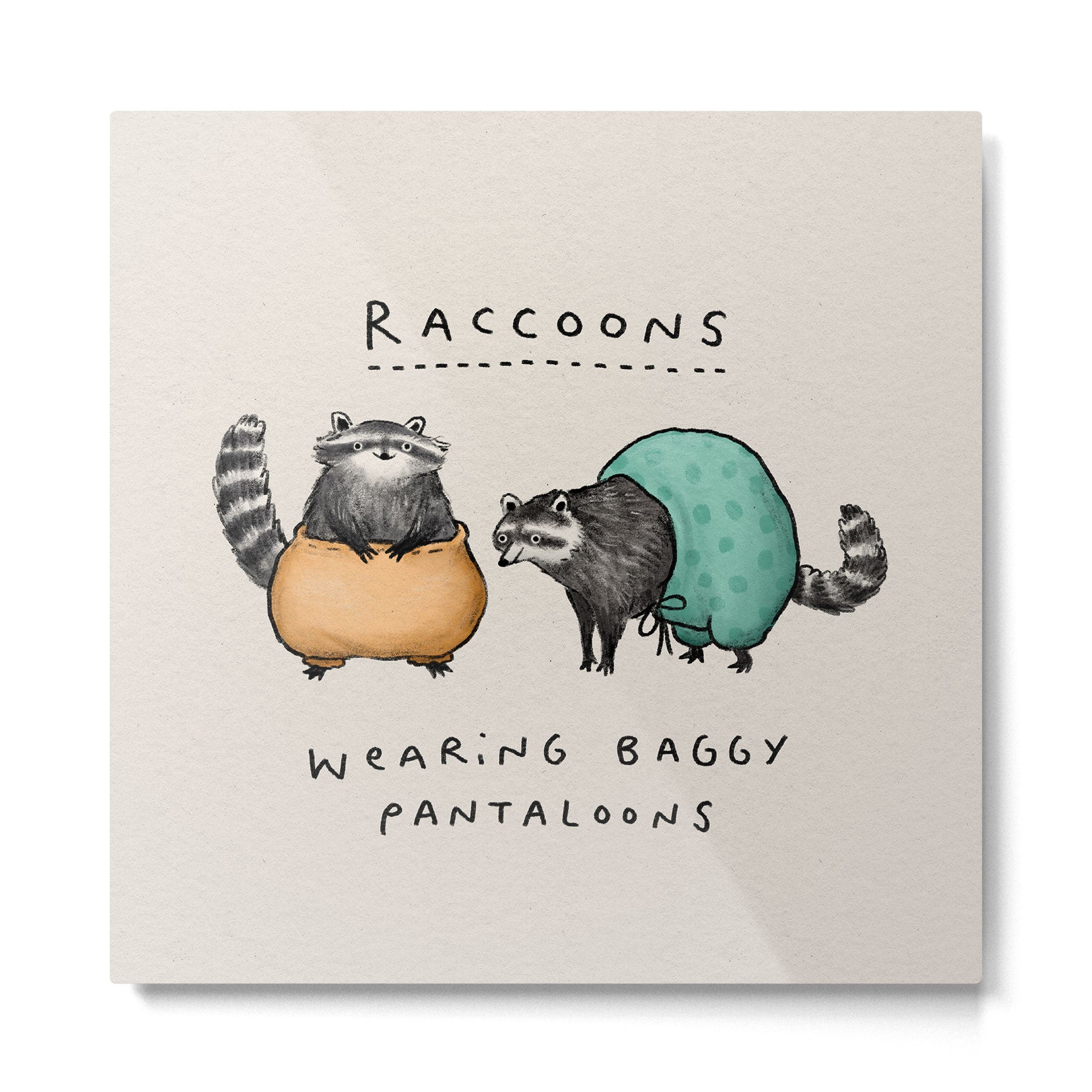 Raccoons Wearing Baggy Pantaloons Metal Print | TeksDecor