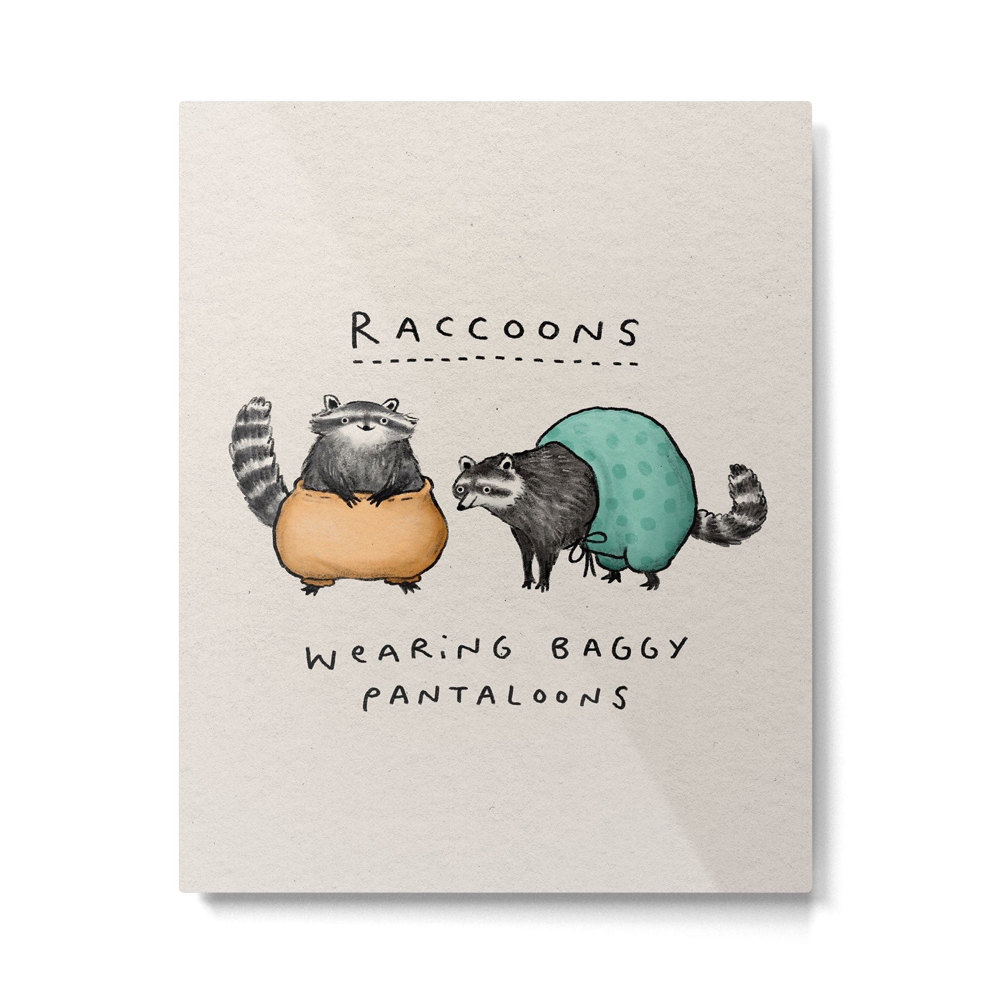Raccoons Wearing Baggy Pantaloons Metal Print | TeksDecor