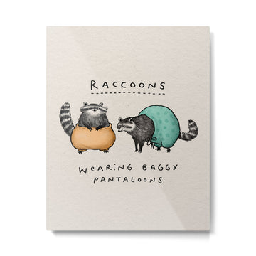 Raccoons Wearing Baggy Pantaloons Metal Print | TeksDecor