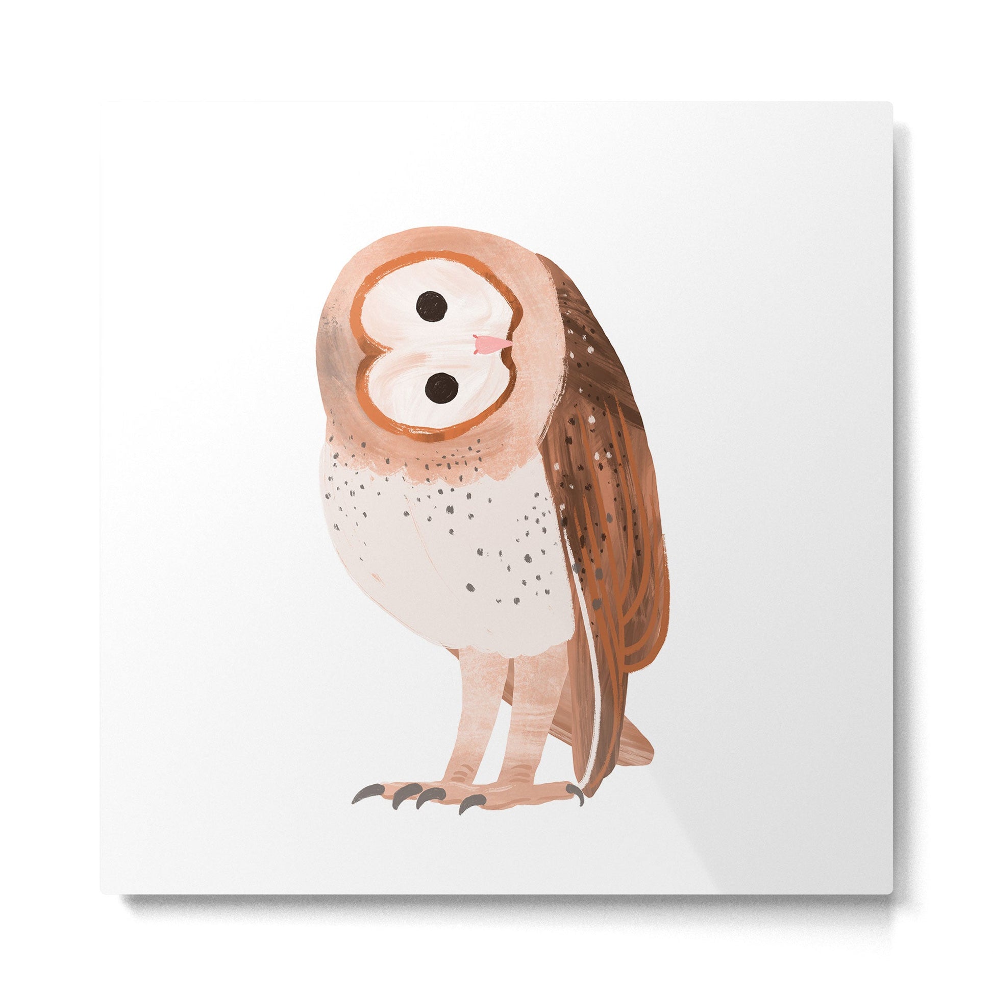 Barn Owl Metal Print | TeksDecor