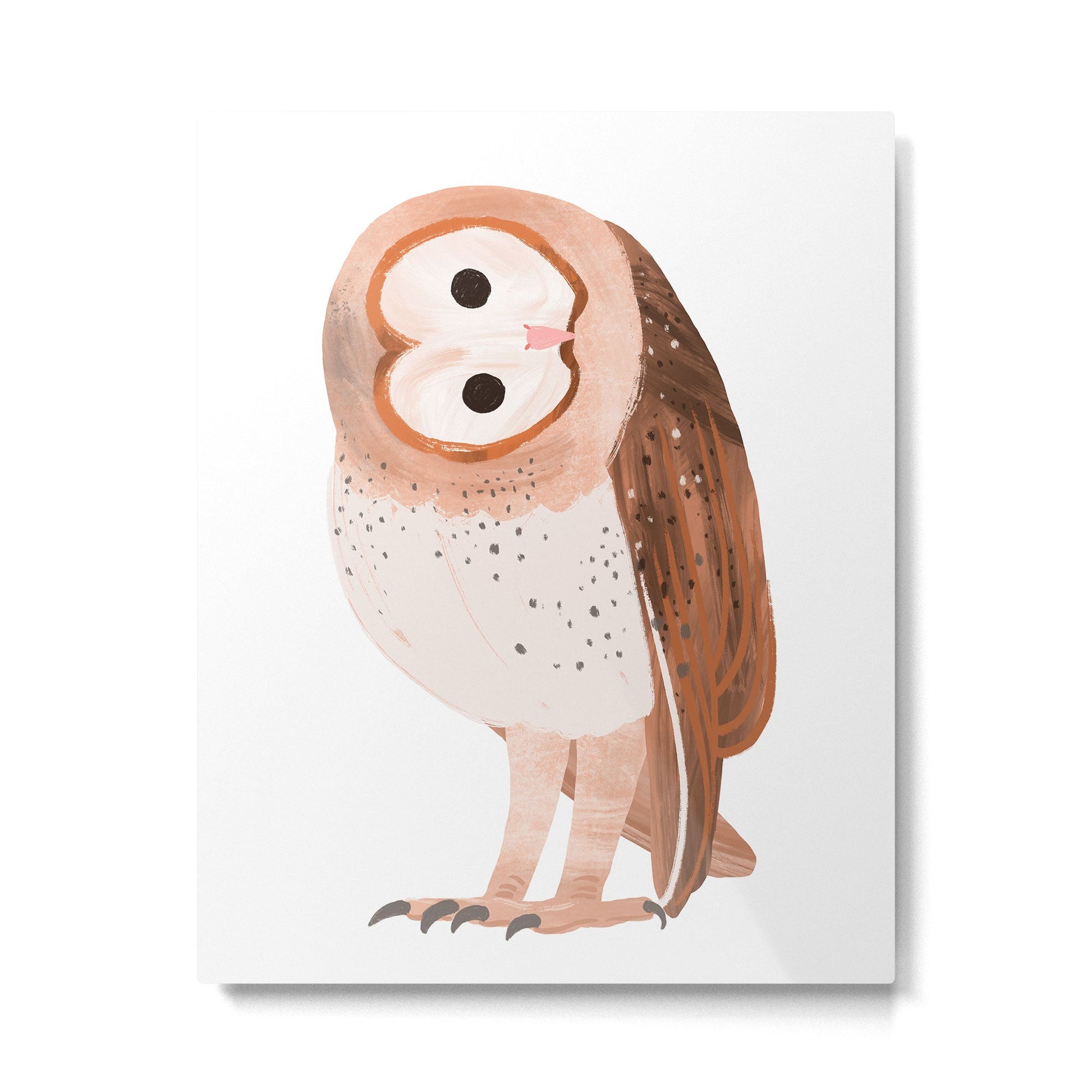 Barn Owl Metal Print | TeksDecor