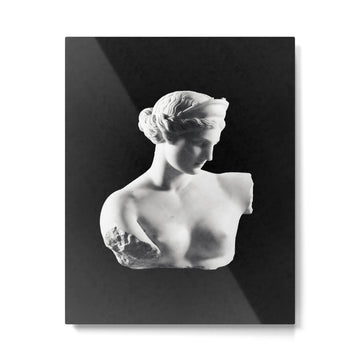Aphrodite Metal Print | TeksDecor
