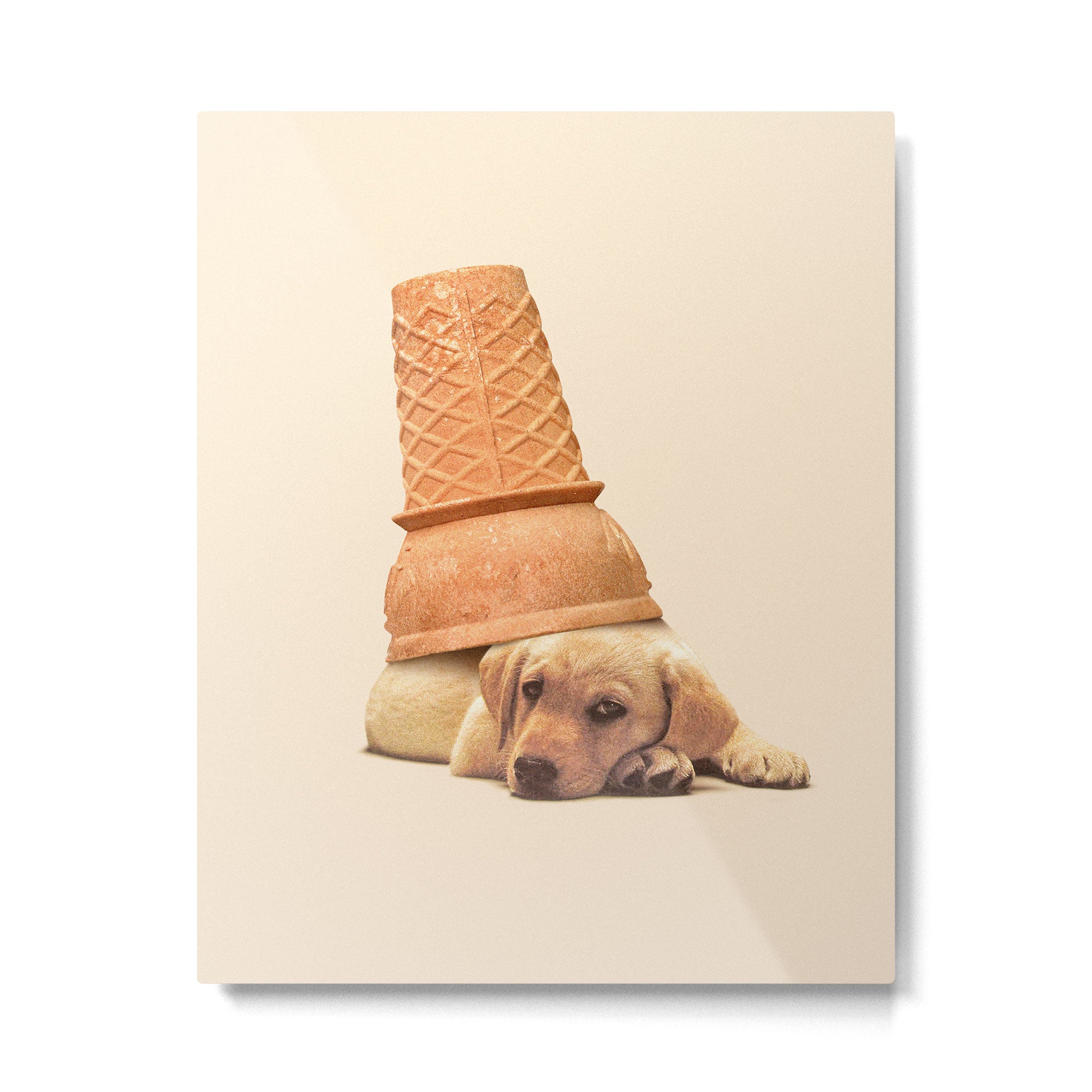 Underdog - Ice Cream Metal Print | TeksDecor