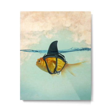 Brilliant DISGUISE - Goldfish with a Shark Fin Metal Print | TeksDecor