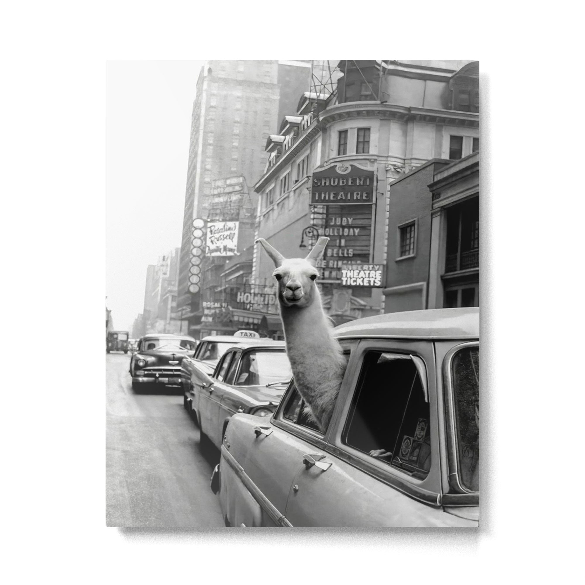 Llama Riding In Taxi Metal Print | TeksDecor