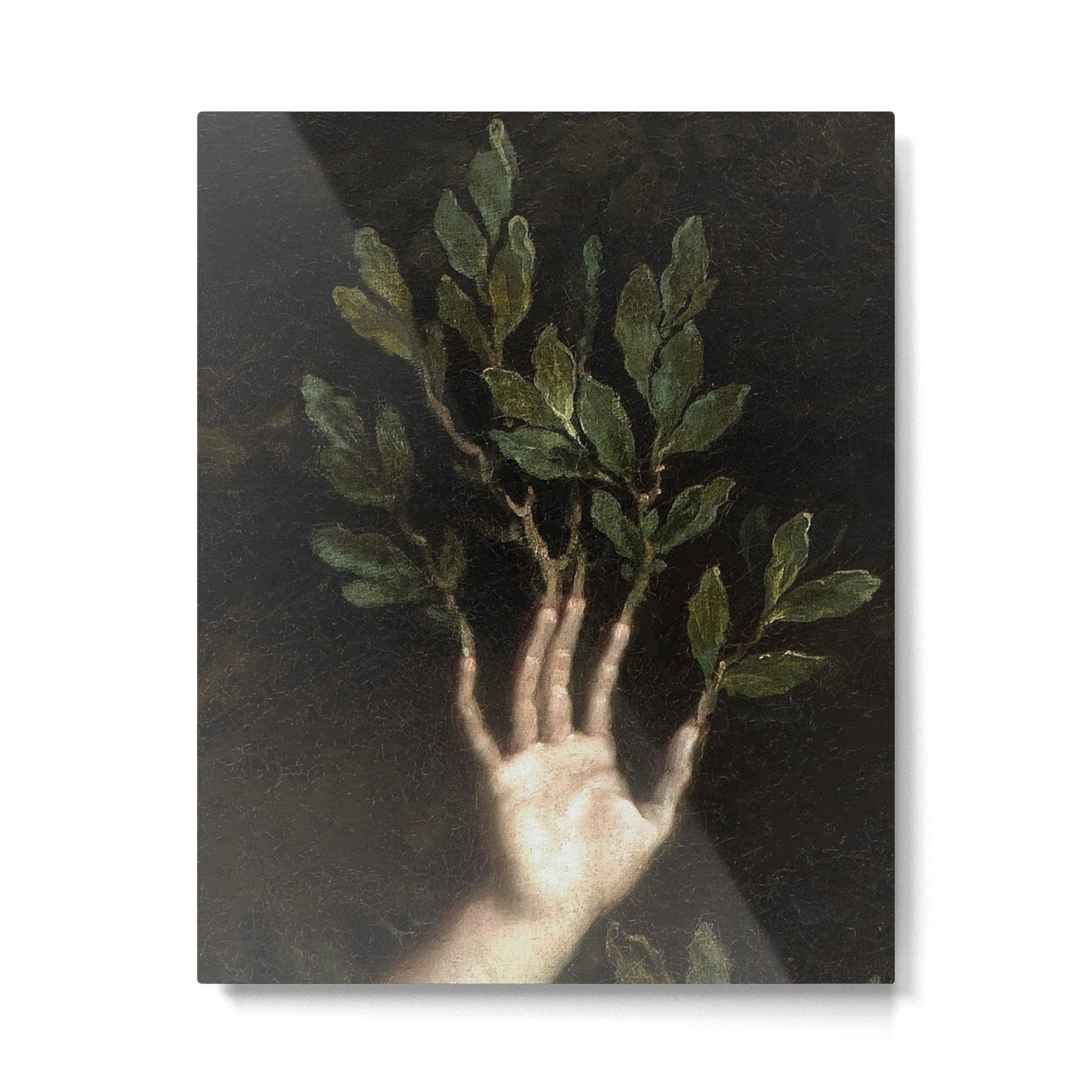 Ren?-Antoine Houasse - Apollo et Daphne (detail) Metal Print | TeksDecor